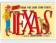Postcard Howdy from the Lone Star State Texas USA picture