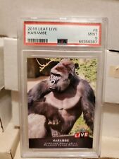 Harambe 2016 Leaf Live #8 PSA 9 Mint Gorilla Cincinnati Zoo Print 243 QTY picture
