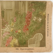 Garden Flowers Wicker Chair Stereoview c1891 Littleton New Hampshire Tinted E963 picture