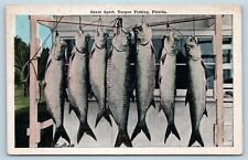 Postcard FL Tarpon Great Sport Catch Line of Tarpon Fish Fishing c1920s T12 picture