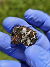 Meteorite**NWA Unc. Pallasite**7.347 gram, New Gorgeous Etched Pallasite  picture