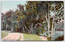 Postcard Birch Point, Island Pond Vermont Posted 1912 picture