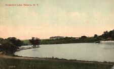 1913 View Of Horseshoe Lake Batavia New York NY McGreevy Pub. Vintage Postcard picture