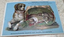 *RARE* VICT. TRADE CARD HENDERSON & STOUTENBOROUGH PEARL ST. DOGS NYC picture