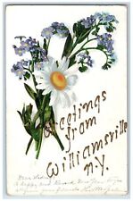 1907 Greetings From Williamsville New York NY, Pansies Flower Scene Postcard picture