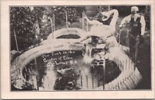 Vintage LUCAS, Kansas Postcard S.P. DINSMOOR'S GARDEN OF EDEN 