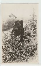 RPPC Taylors Falls Minnesota Pulpit Rock nature Real Photo Postcard MN UN-POSTED picture