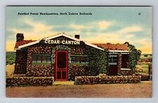 Badlands ND-North Dakota, Petrified Forest Headquarters, Vintage c1942 Postcard picture