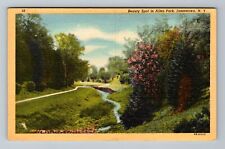 Jamestown NY-New York Scenic Allen Park Walkway Stream Vintage Souvenir Postcard picture