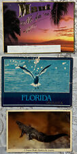 Lot Of (3) Florida Postcards Miami No Ka Oi 2000, Sarasota 1991, Everglades 1966 picture