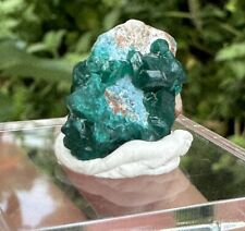 High Quality Dioptase shattuckite Specimen Namibia 8gm picture