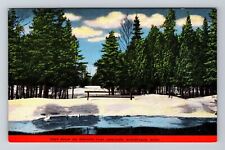 Manistique MI-Michigan, Snow on Springs Park Grounds, Vintage Postcard picture