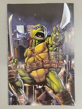 Teenage Mutant Ninja Turtles 103 Slab City Exclusive Cabaltierra Variant - IDW* picture
