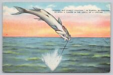Postcard Tarpon or Silver King Fish Hooked picture
