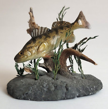 Small Walleye Fish Diorama 3