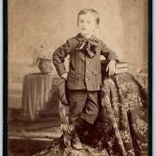 c1880s Reading, PA Handsome Little Man Books Boy Cabinet Card Photo Saylor B13 picture