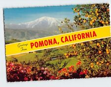 Postcard Greetings From Pomona California USA picture
