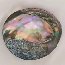 Art Work Abalone Polished Paua Shell 4½