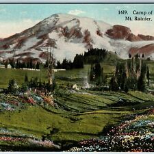 c1910s Mt. Rainier, Wash Camp of the Clouds Pioneer Homestead JL Robbins WA A211 picture