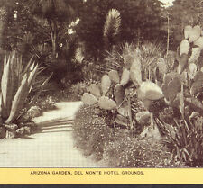 Monterey Hotel Del Monte c 1904 BIG California Arizona Garden Singer Sewing Card picture