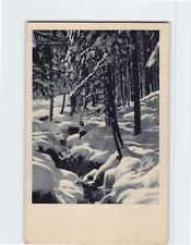 Postcard Winter Forest Scene picture