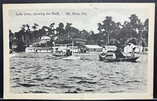 Postcard Lake Dora Showing Bluffs Mt. Dora Fla. c-1920 picture