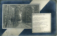 Latvia 1911 Greetings Postcard w/Riga M Cancel picture