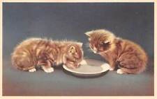 2 CATS, ONE DRINKING MILK FROM SAUCER ~ ALFRED MAINZER PUB #331 ~ c 1930's  picture
