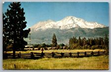 Postcard  Mount Shasta  Siskiyou County California   B 23 picture