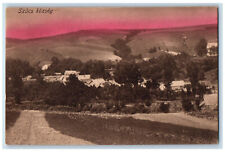 Hungary Postcard Szucs Kozseg Plain Hills View c1910 Antique Unposted picture