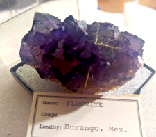 Huge Purple Cubic Fluorite From The Ojuela Mine, Mapimi Durango, Mexico CC10 picture