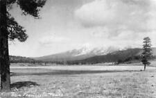 RPPC San Francisco Peaks Near Flagstaff, Arizona c1910s Vintage Photo Postcard picture