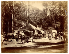 India, Madras Vintage Print, Albumin Print 23.5x30.5 Circa 1880 <div picture