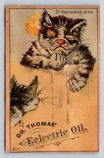 Dr Thomas Eclectric Oil Alley Cat Stop Looking At Me  P814 picture