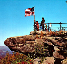 Jump Off Rock Overlooking French Broad River Valley Hendersonville NC Postcard picture