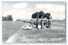 c1950's Blue Grass Harvest Creston Iowa IA Vintage RPPC Photo Postcard picture