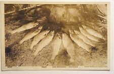 RPPC Trout and Fishing Creel at Lake Arrowhead CA 1930 Real Photo Postcard A71 picture