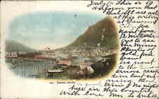 Juneau Alaska AK Harbor Birdseye View Scenic 1900s-10s Postcard picture