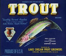 Trout - Brand Apple Crate Label - Blue - Extra Fancy picture