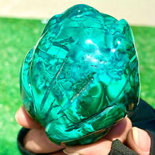 345G Natural glossy Malachite Crystal Handcarved frog mineral sample picture