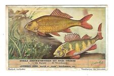 c1888 Victorian Trade Card Liebig, Dutch Liver Delicious on Toast Sandwiches picture