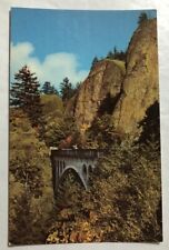 Shepherd's Dell Bridge Postcard (I1) picture