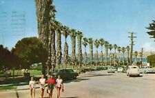 Postcard CA La Jolla Park Palm Lined Street Posted 1959 Chrome Vintage PC G6690 picture