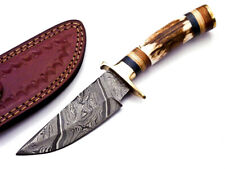 custom handmade fixed blade DAMASCUS STEEL HUNTING SKINNING KNIFE picture