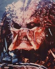 Predator closeup image of the 