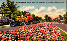 Vintage 1945 Brickell Ave. Zinnia Bed at 6th street, Miami Florida FL Postcard  picture