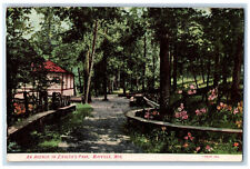 1907 An Avenue in Ziegler's Park Mayville Wisconsin WI Antique Postcard picture