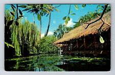 Honolulu HI-Hawaii, The Willows Restaurant Advertising, Antique Vintage Postcard picture
