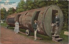 Postcard Spruce Log at Palmer Park Detroit MI  picture