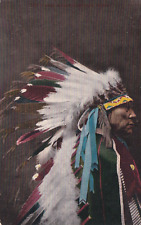Sioux Indian Chief Hollow Horn Bear  Postcard 1910's picture
